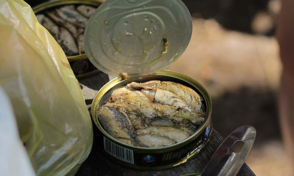Yes, canned fish is among the foods that cause bad breath. 